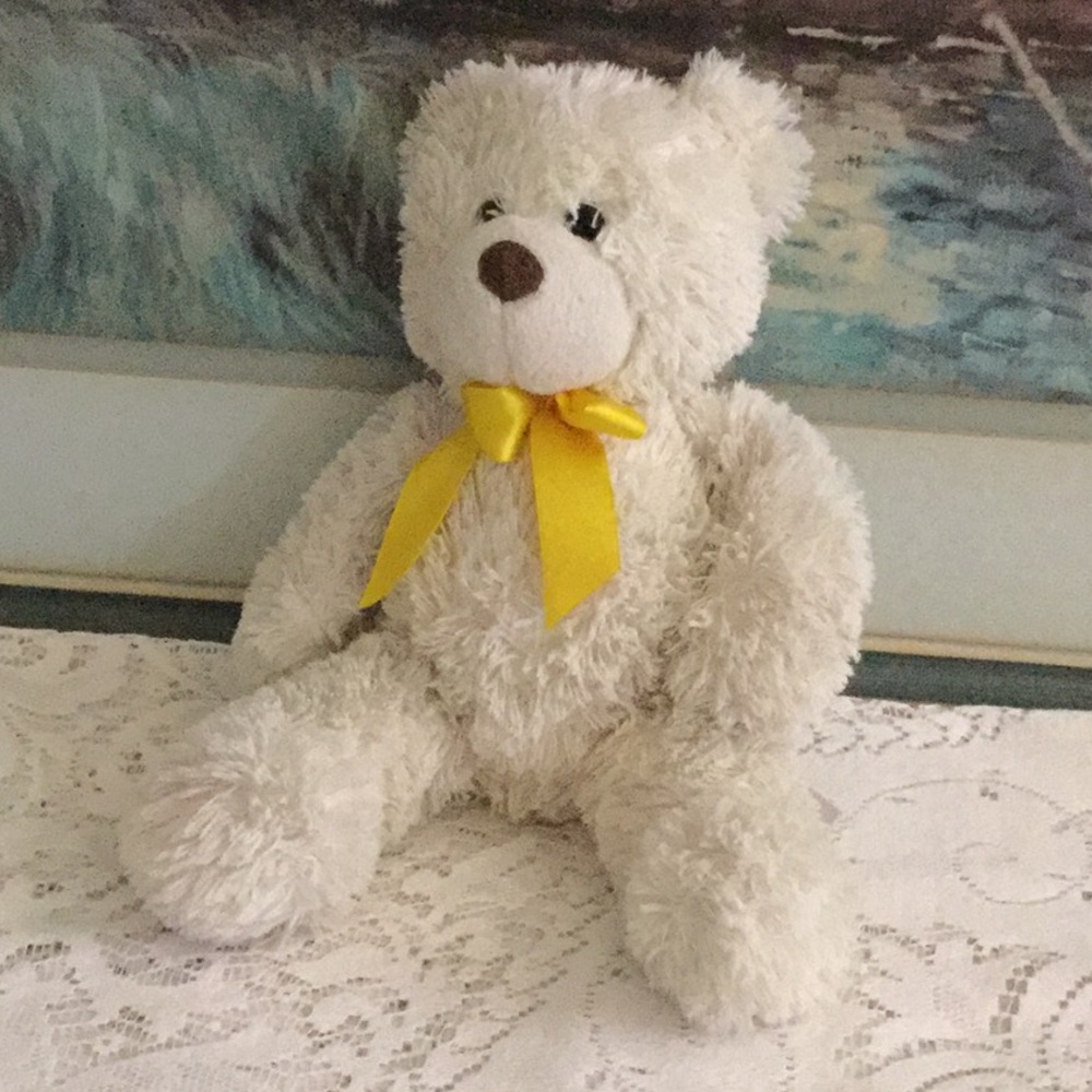 Sweet  teddy bear ❤️🧸